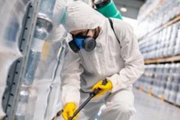 Pest Control Dwarka New Delhi