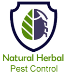 Natural Herbal Pest Control